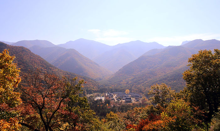 Bukdaeam Hermitage overlooks Unmunsa Temple surrounded by the dense forest. 